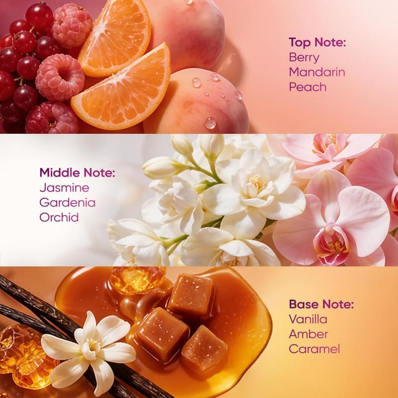 Engage W2 notes graphic: berry, mandarin and peach top; jasmine, gardenia and orchid middle; vanilla, amber and caramel base